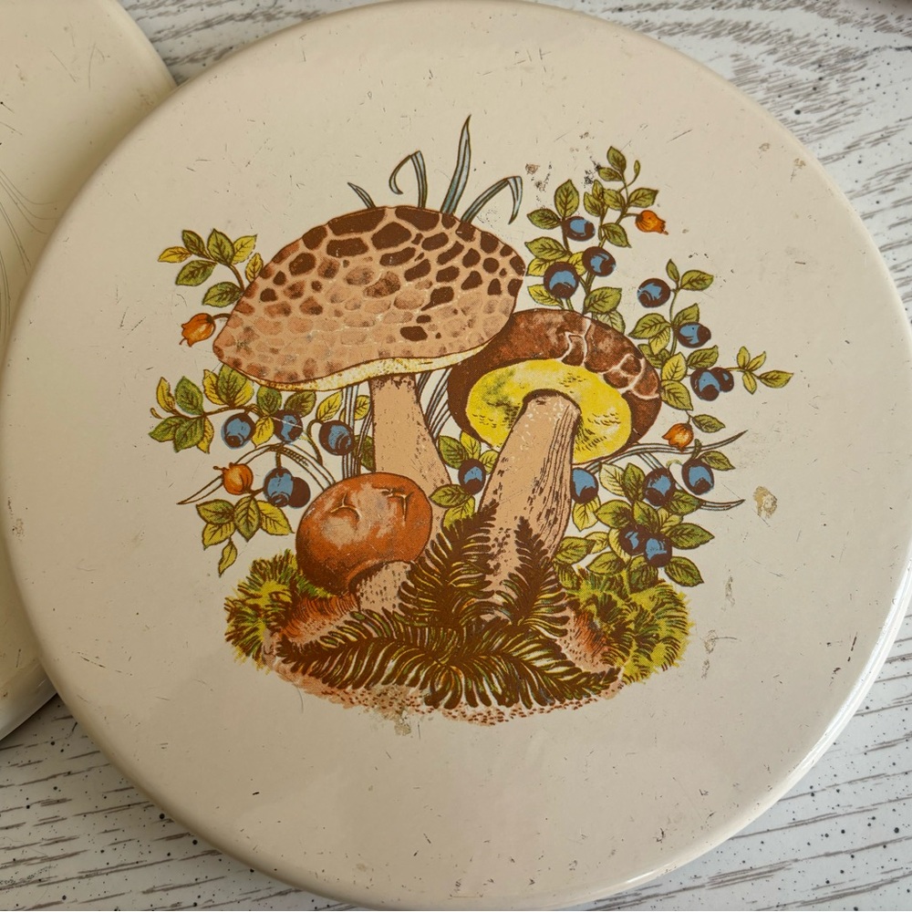 Vintage mushroom gas stove covers🌼🍄